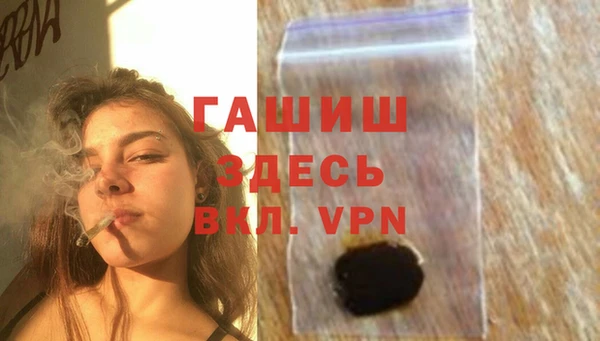 сатива Бронницы