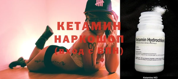 сатива Бронницы