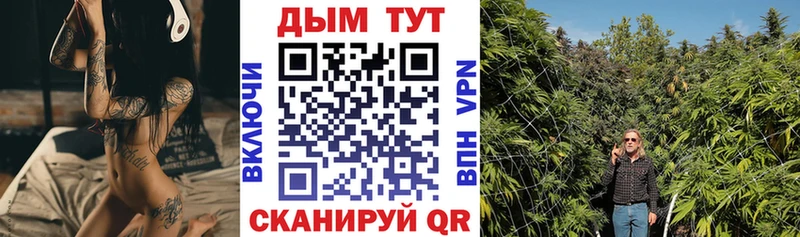 blacksprut ссылки  хочу   Кувшиново  даркнет Telegram  МАРИХУАНА SATIVA & INDICA 